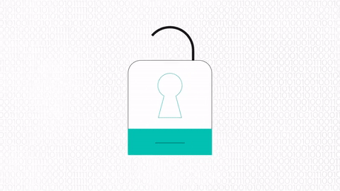 P2PE Encryption